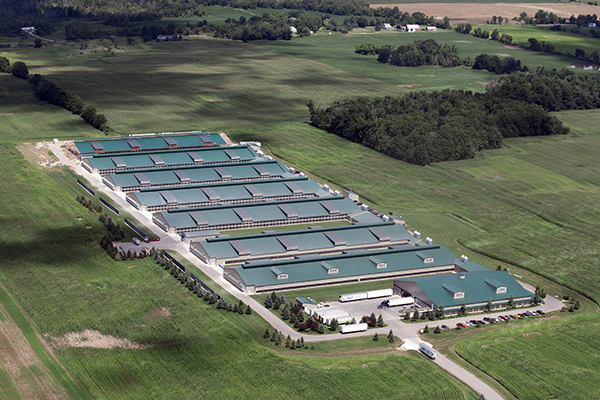 Harbin Cosmic Connection Co., Ltd.